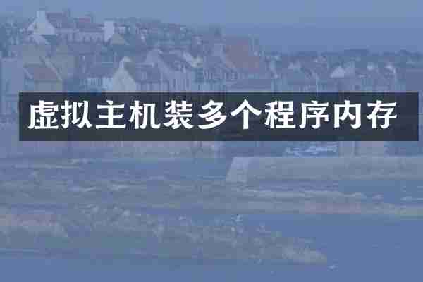 虚拟主机装多个程序内存