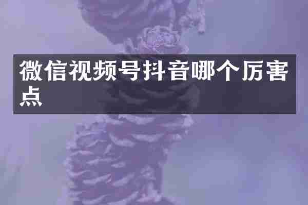 微信视频号抖音哪个厉害点