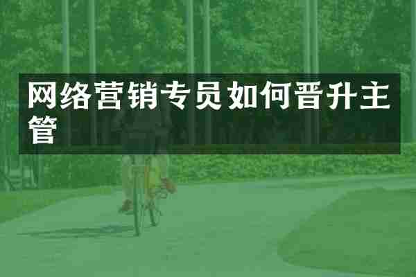 网络营销专员如何晋升主管