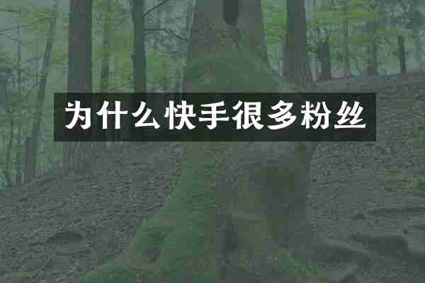为什么快手很多粉丝