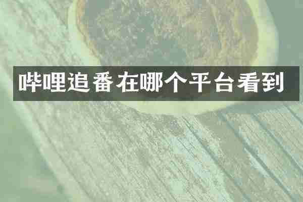 哔哩追番在哪个平台看到