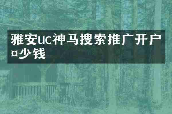 雅安uc神马搜索推广开户多少钱