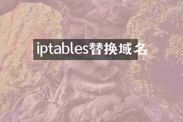 iptables替换域名