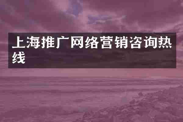 上海推广网络营销咨询热线