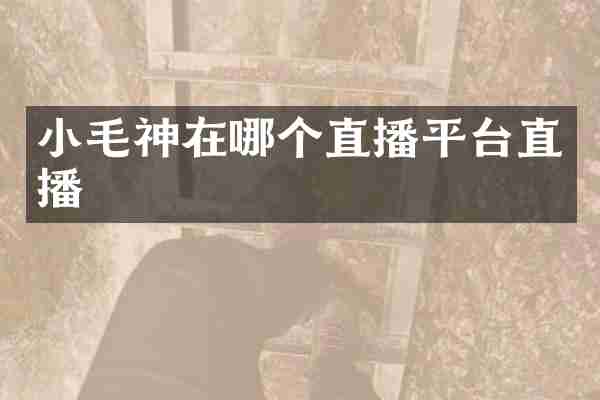 小毛神在哪个直播平台直播