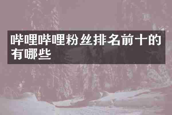 哔哩哔哩粉丝排名前十的有哪些