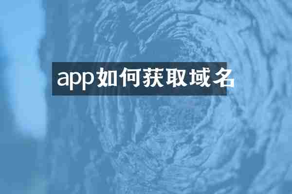 app如何获取域名