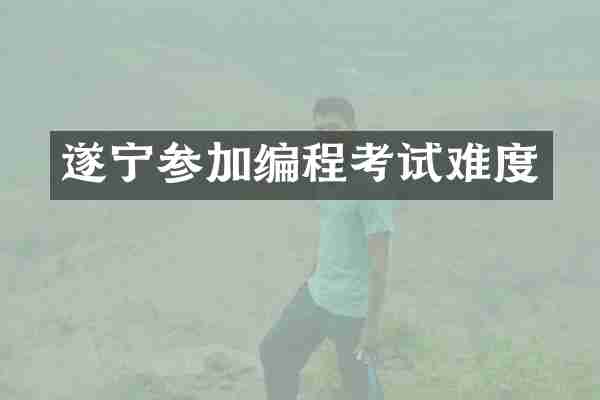 遂宁参加编程考试难度