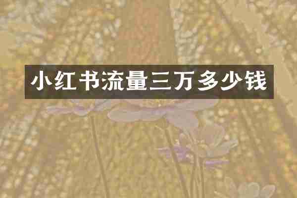 小红书流量三万多少钱