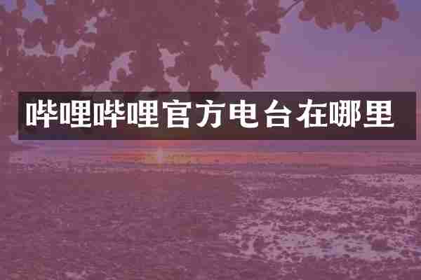 哔哩哔哩官方电台在哪里