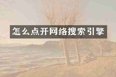 怎么点开网络搜索引擎