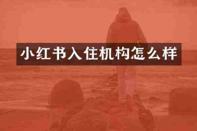 小红书入住机构怎么样