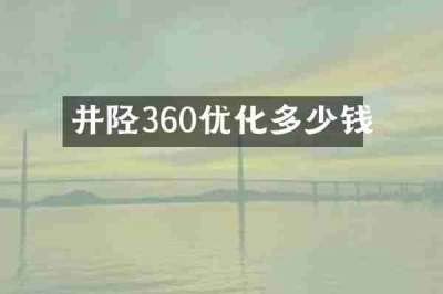 井陉360优化多少钱