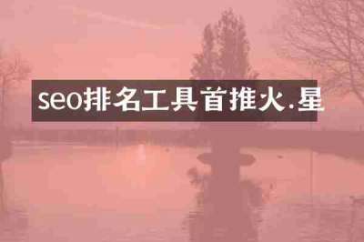 seo排名工具首推火.星
