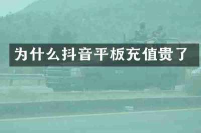 为什么抖音平板充值贵了