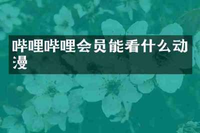 哔哩哔哩会员能看什么动漫