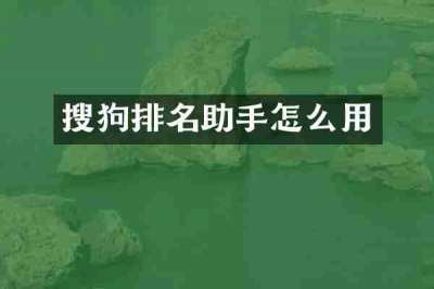 搜狗排名助手怎么用