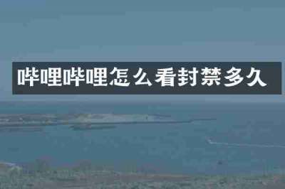 哔哩哔哩怎么看封禁多久