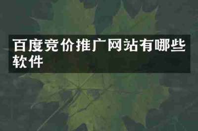 百度竞价推广网站有哪些软件