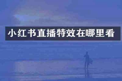 小红书直播特效在哪里看