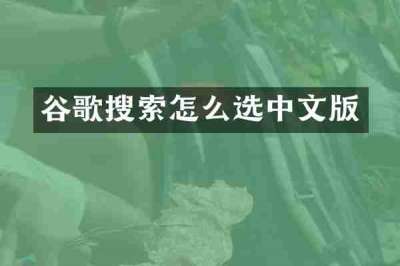 谷歌搜索怎么选中文版