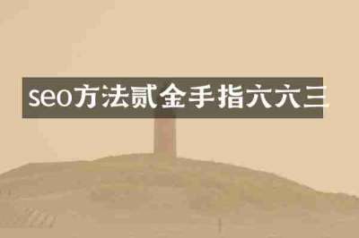 seo方法贰金手指六六三