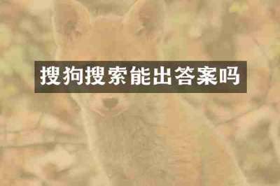 搜狗搜索能出答案吗