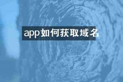 app如何获取域名