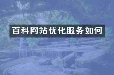 百科网站优化服务如何
