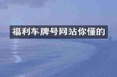 福利车牌号网站你懂的