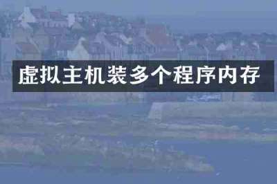 虚拟主机装多个程序内存