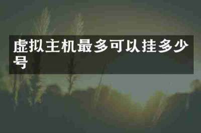 虚拟主机最多可以挂多少号