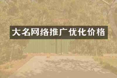 大名网络推广优化价格