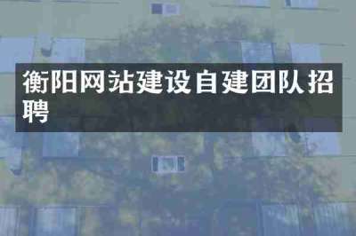 衡阳网站建设自建团队招聘