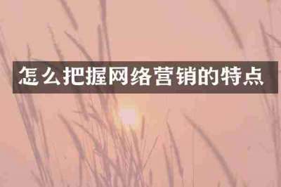 怎么把握网络营销的特点