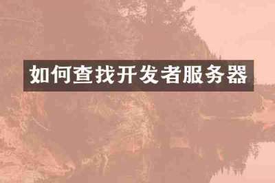 如何查找开发者服务器