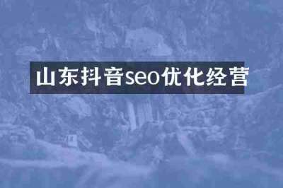 山东抖音seo优化经营