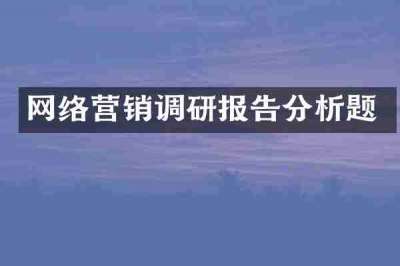 网络营销调研报告分析题