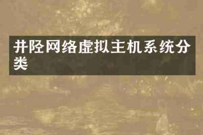 井陉网络虚拟主机系统分类