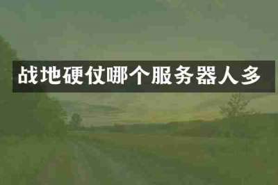 战地硬仗哪个服务器人多