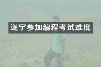 遂宁参加编程考试难度