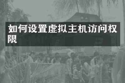 如何设置虚拟主机访问权限