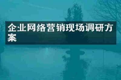 企业网络营销现场调研方案