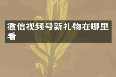 微信视频号新礼物在哪里看