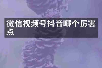 微信视频号抖音哪个厉害点