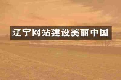辽宁网站建设美丽中国