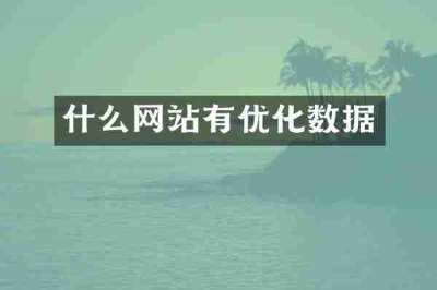 什么网站有优化数据