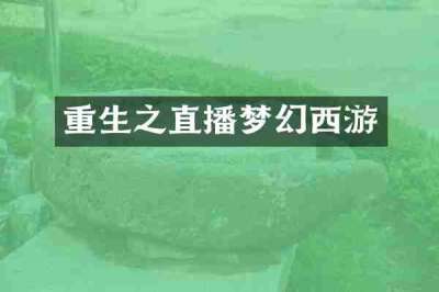 重生之直播梦幻西游