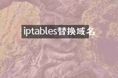 iptables替换域名
