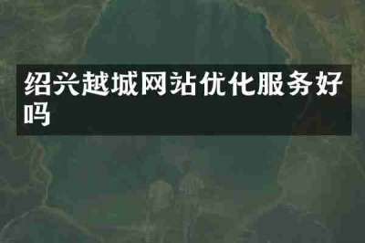 绍兴越城网站优化服务好吗